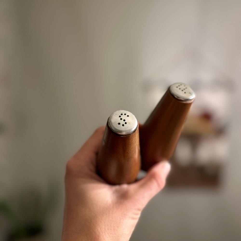 Vintage Salt and Pepper Shakers 🧂